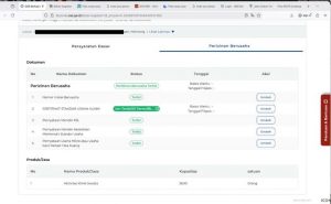 cara cek izin klinik OSS RBA
